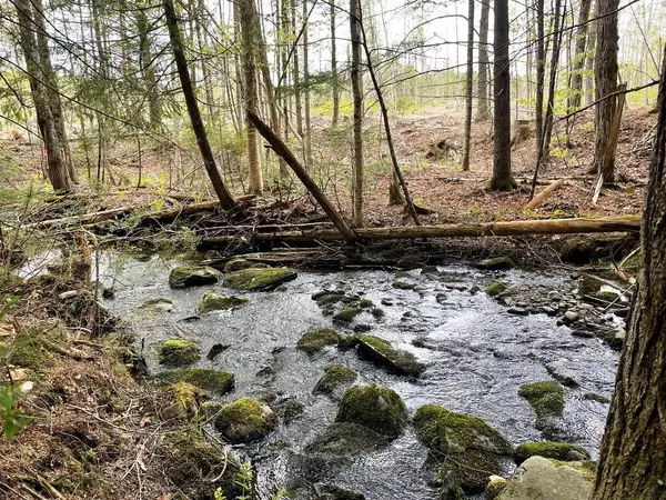 Monson, ME 04464,Lot #7 Hammond Brook RD