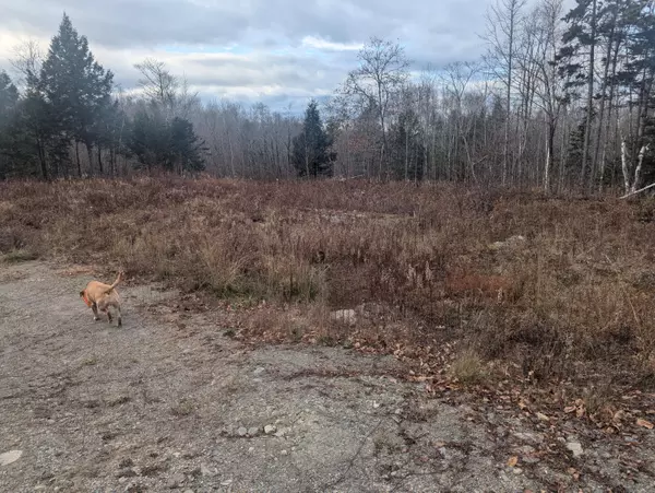 Newburgh, ME 04444,Lot 5A Kennard RD