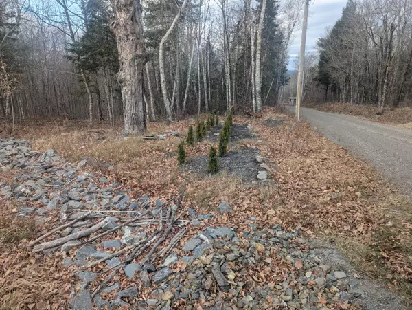 Newburgh, ME 04444,Lot 5A Kennard RD
