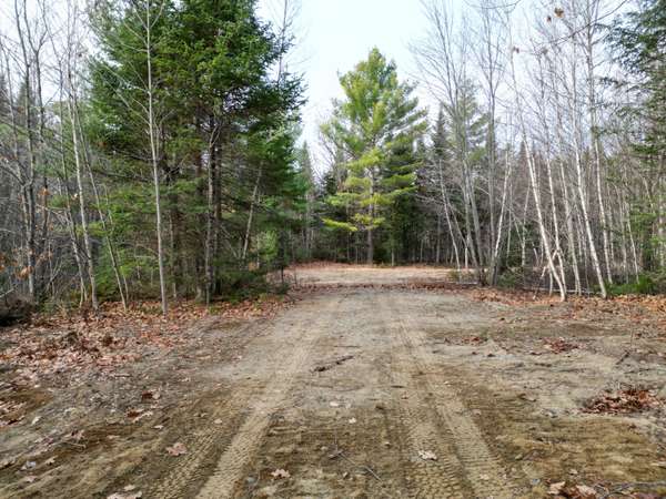 Greenbush, ME 04418,Lot 8 Stevens Brook LN