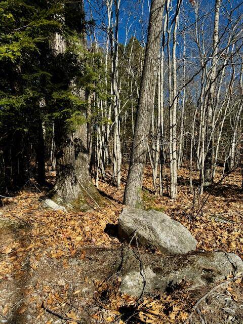 Lot # 15 Sweden RD, Bridgton, ME 04009