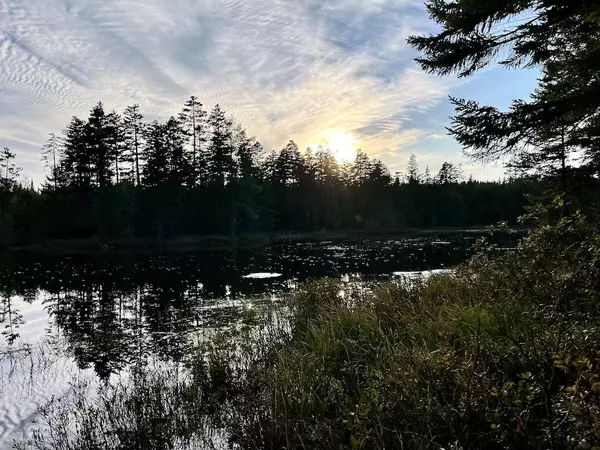 Lower Cupsuptic Twp, ME 04970,0 Burnt Mountain RD