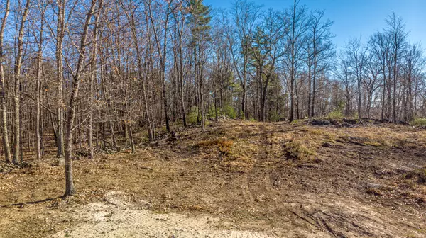 Parsonsfield, ME 04047,596 Maplecrest RD