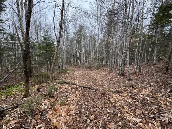 Prentiss Twp T7 R3 Nbpp, ME 04487,Lot 3 Freedom WAY