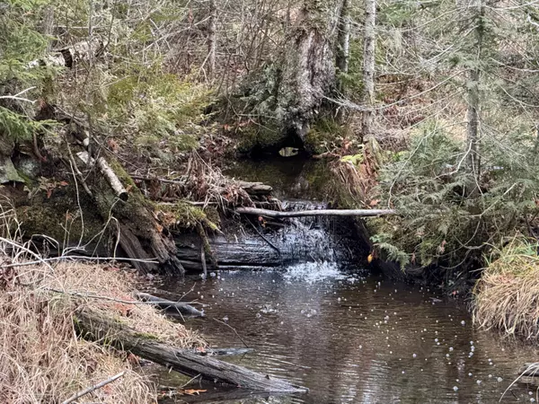 Lot 3 Freedom WAY, Prentiss Twp T7 R3 Nbpp, ME 04487