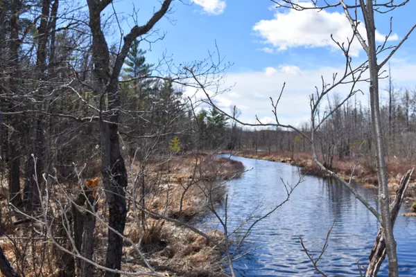 Sumner, ME 04292,35 Starbird RD