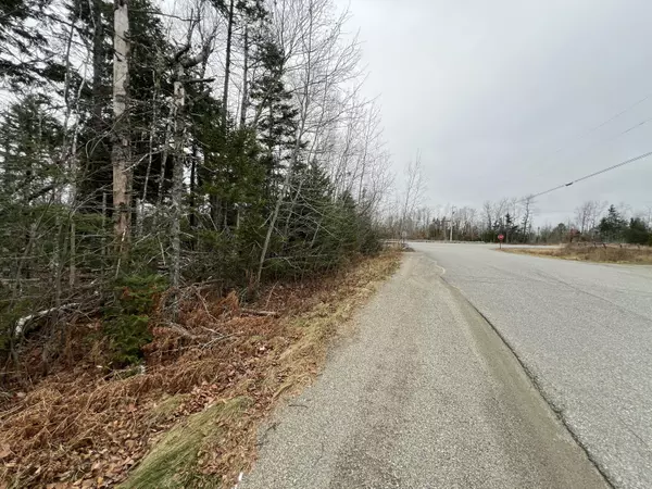 Alexander, ME 04694,065-008 Airline RD