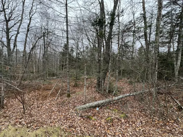 Alexander, ME 04694,065-008 Airline RD