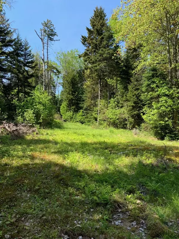 Friendship, ME 04547,Lot #2 Oceanward DR