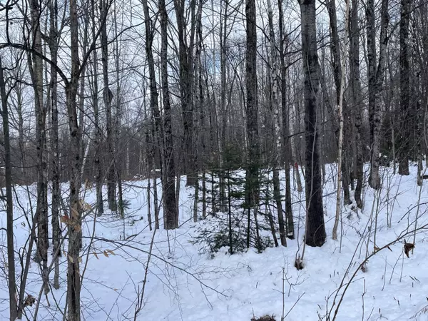 Wilton, ME 04294,M33 L9 Bubier RD