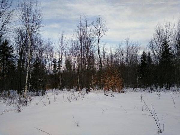 map2lot10 Pinkham RD, Alton, ME 04468