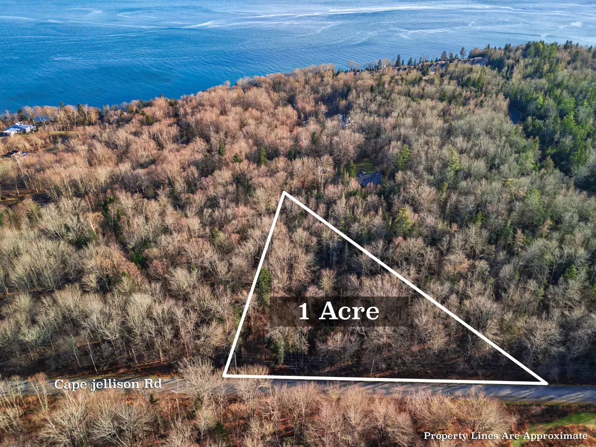 Stockton Springs, ME 04981,0 Cape Jellison RD