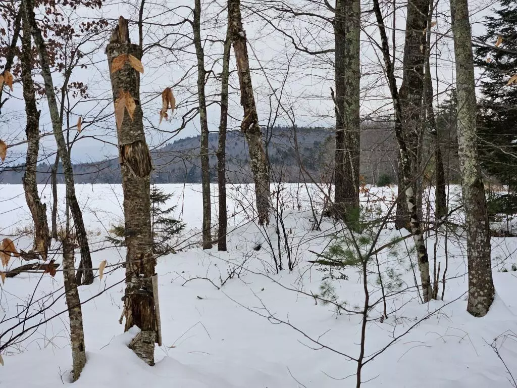 Fryeburg, ME 04037,33 N North Fryeburg RD