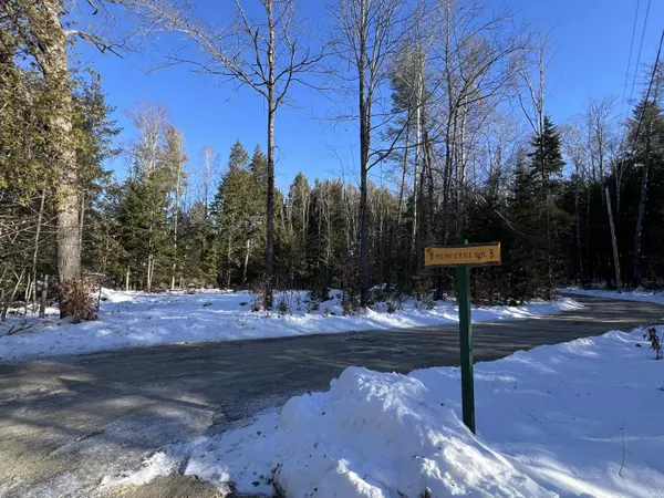 Ripley, ME 04930,Lot 17 Shues LN