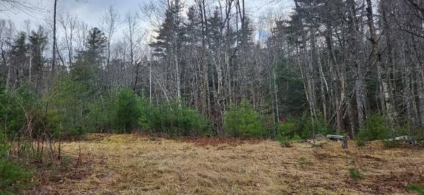 523 Bald Mountain RD, Dedham, ME 04429