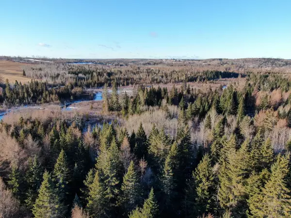 Woodland, ME 04736,M2L24B McIntyre RD