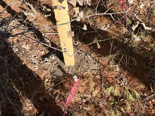 Mattawamkeag, ME 04459,lot24-07 Medway RD