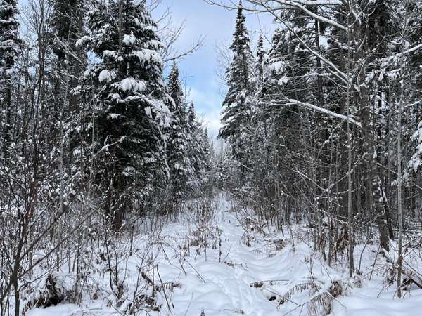 00 Frenchville RD, Ashland, ME 04732