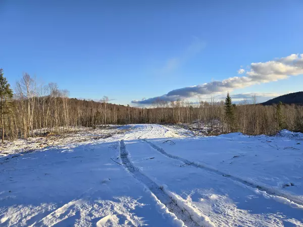 Springfield, ME 04487,L 6N Treadwell Hill RD