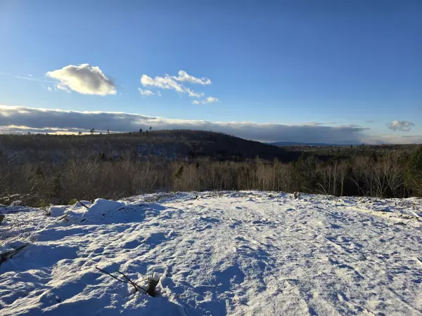 Springfield, ME 04487,L 6N Treadwell Hill RD