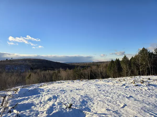 Springfield, ME 04487,L 6N Treadwell Hill RD