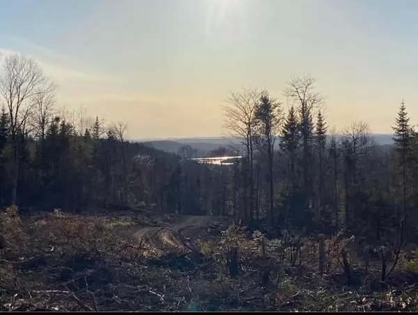 Portage Lake, ME 04768,0 Portage RD