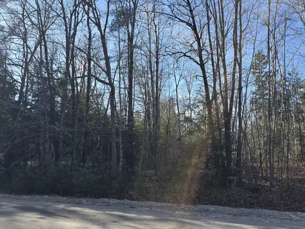 Naples, ME 04055,Lot 22M Songo School RD