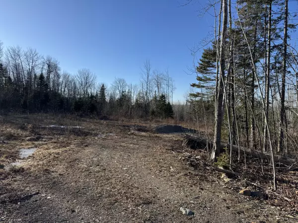 Glenburn, ME 04401,Lot 001-01 Ohio ST