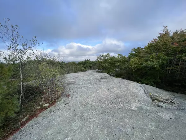 Cherryfield, ME 04622,0 Blackswoods lot 28.1 RD