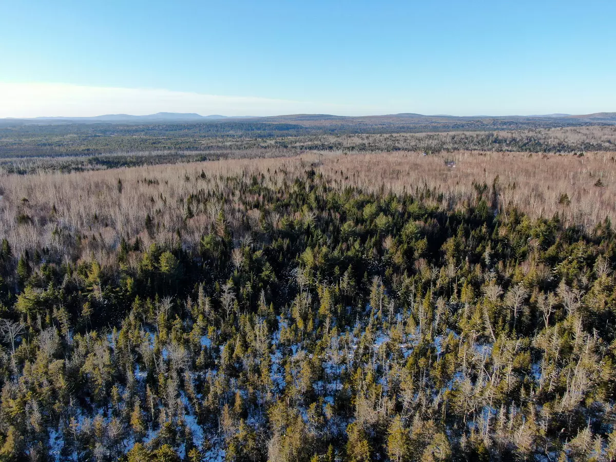 Lakeville, ME 04487,Lot 15 Upper Dobsis RD
