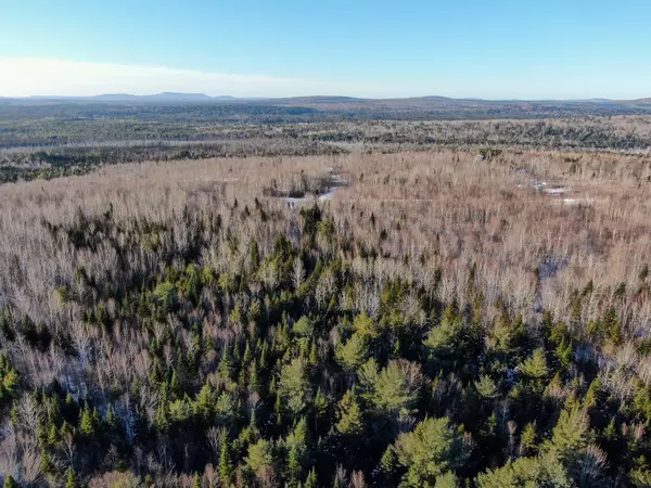 Lakeville, ME 04487,Lot 15 Upper Dobsis RD