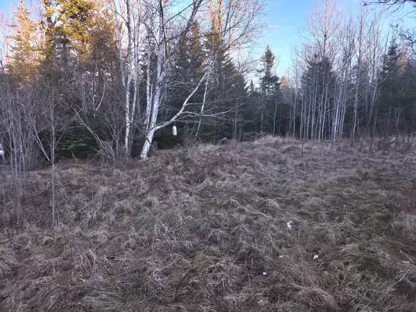 Trescott Twp, ME 04652,42 S Waterway RD