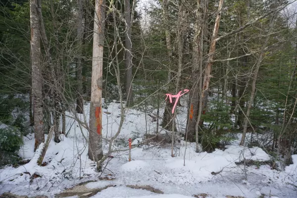 Woodstock, ME 04219,M13L18A-2 Redding RD