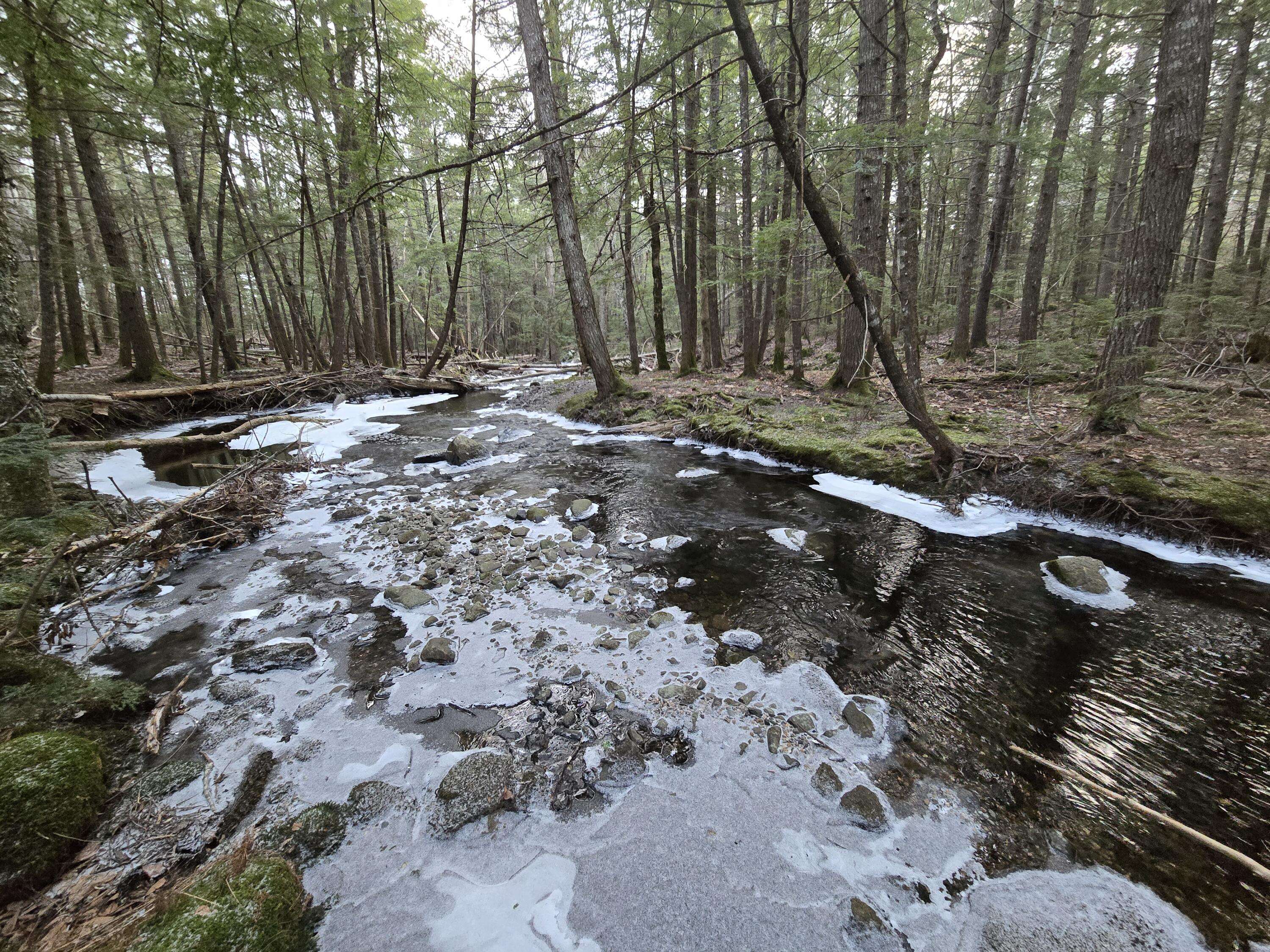 Dedham, ME 04429,58 Beech Hill Pond RD
