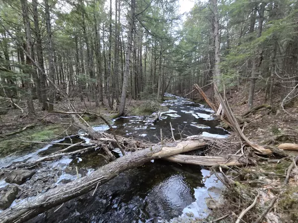 Dedham, ME 04429,58 Beech Hill Pond RD