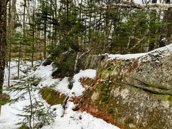 New Portland, ME 04954,Lot B Long Falls Dam Road