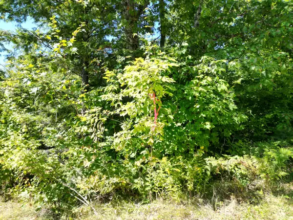 Lakeville, ME 04487,TBD Bottle Lake RD