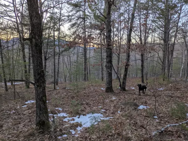 121 Plantation LN, Brownfield, ME 04010