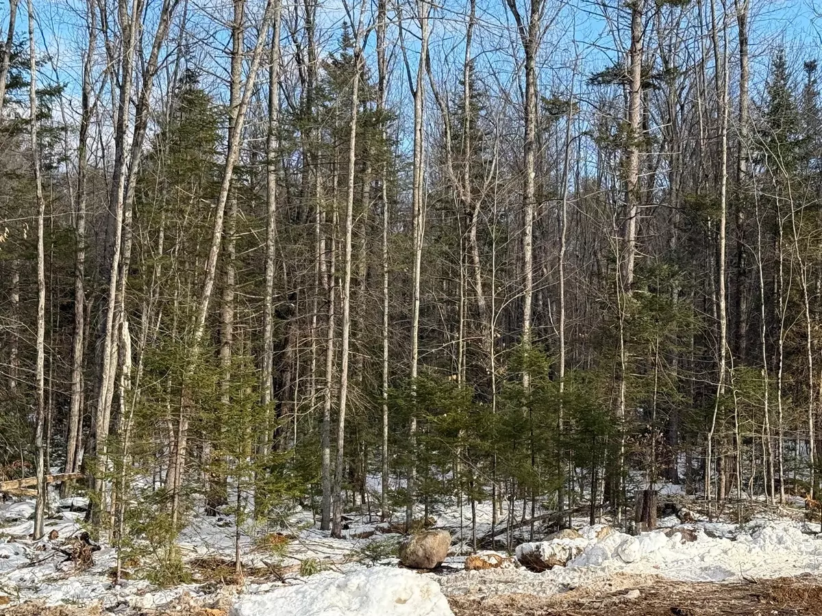 Bethel, ME 04217,0 E Bethel RD