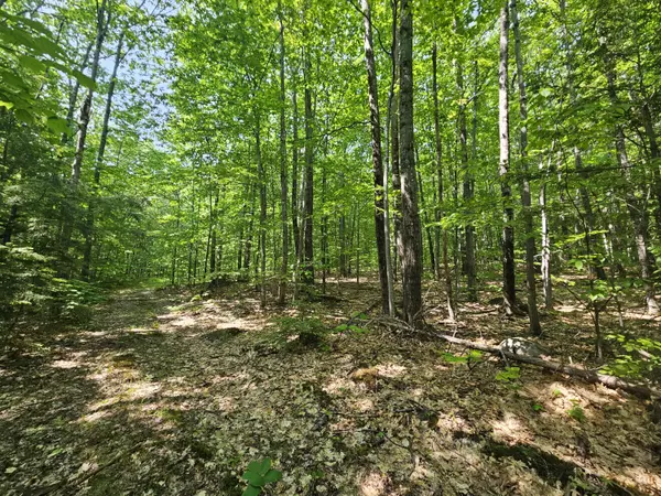 Temple, ME 04984,Lot 023-A Oak Hill RD