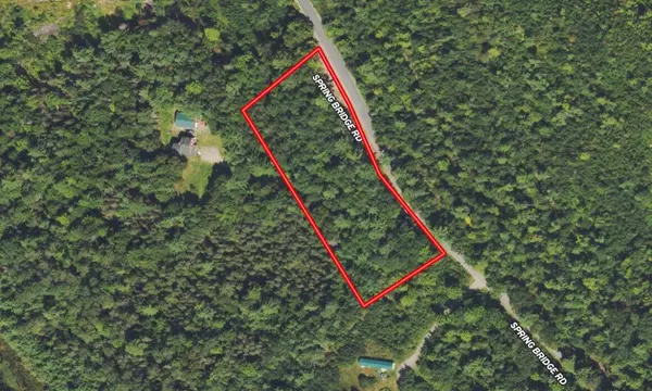 Greenbush, ME 04418,Map6Lot15 Spring Bridge RD