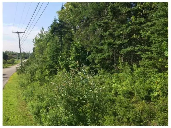 Pembroke, ME 04666,xx Garnet Head RD