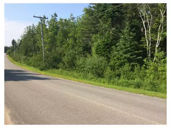 Pembroke, ME 04666,xx Garnet Head RD