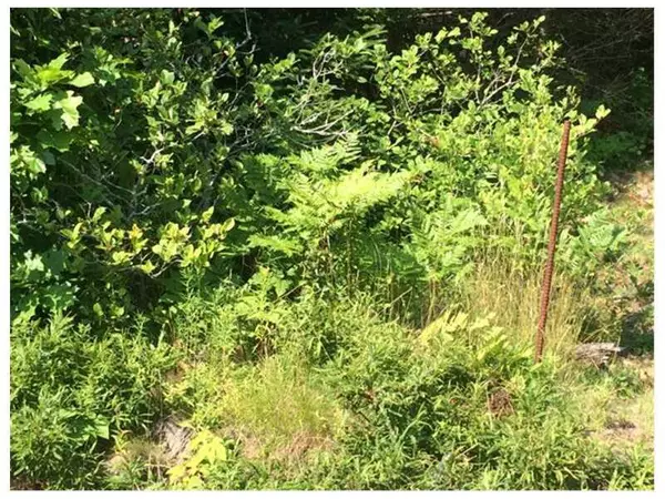 Pembroke, ME 04666,xx Garnet Head RD