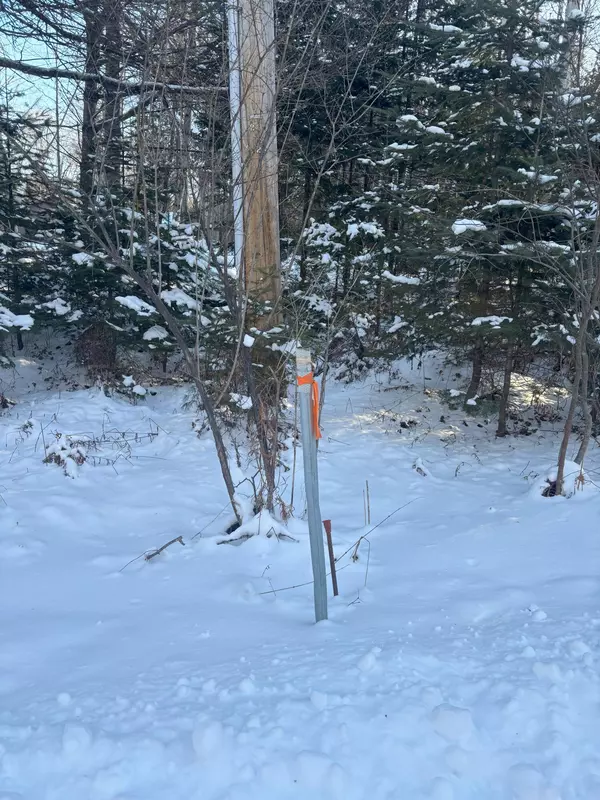 Newport, ME 04953,TBD Jamie RD