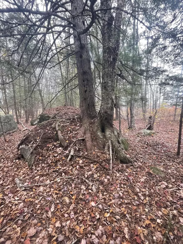 Grand Falls Twp, ME 04417,Lot 8 Stunning LN