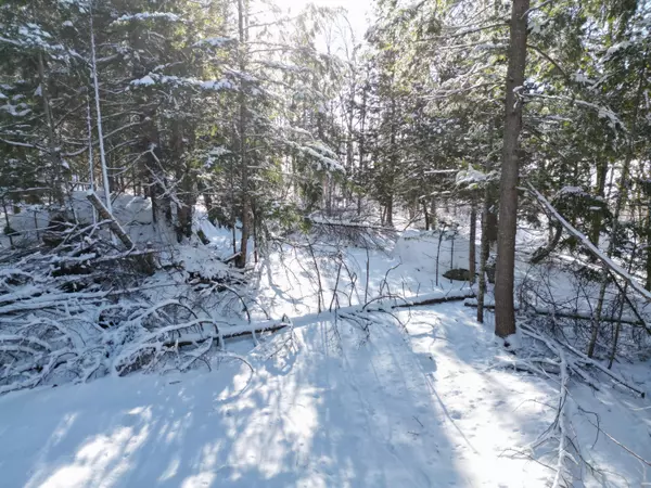 Grand Falls Twp, ME 04417,Lot 8 Stunning LN