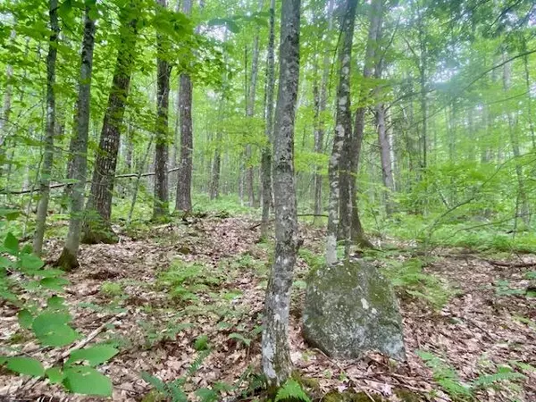 Hiram, ME 04041,70AC Ben Gilpatrick RD