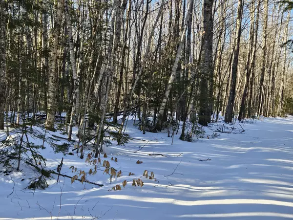 Lot 32 Alder Hill RD, Brownville, ME 04414