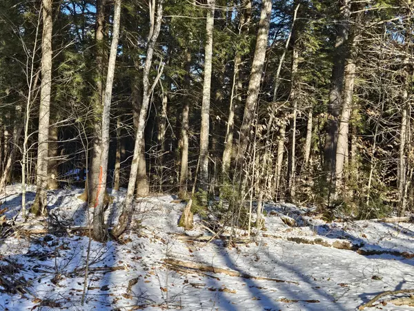 Brownville, ME 04414,Lot 32 Alder Hill RD